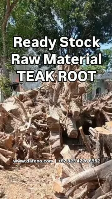 RAW. REAL. READY.
Teak Root Raw Material - Ready Stock!
Direct from Jepara - Indonesia's Furniture Capital.

DM for best price.
📞 +62 823 4226 6952 | www.dafenofurniture.com

#teakrootfurniture #teakroot #jeparafurniture #solidwood #dafenofurniture