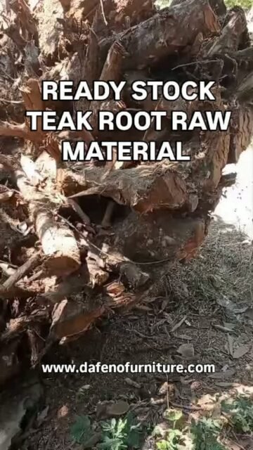 ATTENTION FURNITURE MAKERS & IMPORTERS!

Stop hunting for raw materials. Our latest container of selected Teak Roots just arrived in Jepara.

Export Grade Quality | Bulk Quantity Available | Competitive Factory Price

Watch the video - this is our REAL stock today.
Contact us for FOB Jepara price list.

Dafeno Furniture - Handcrafted in Jepara, Indonesia

#dafenofurniture #teakfurniture #teakrootfurniture #jeparafurniture #akarjati